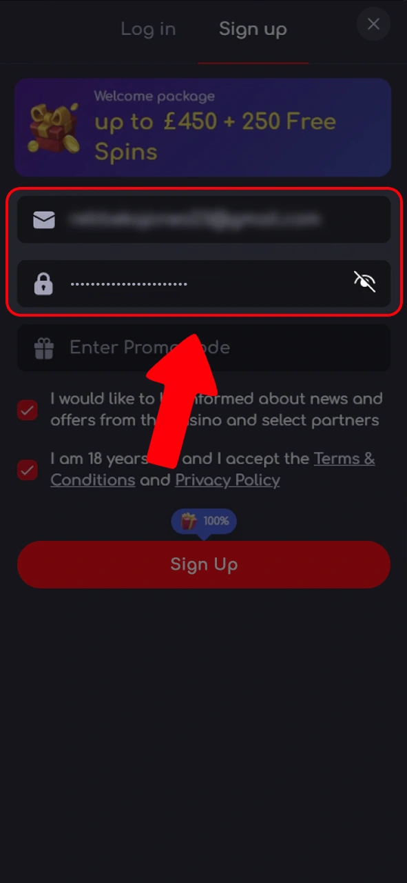 Enter the information required to register on Katanaspin.